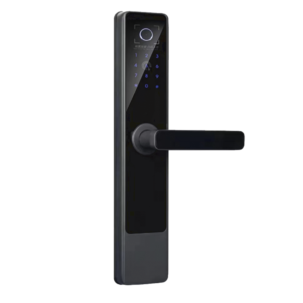 LoRa联网门锁-DY3018-QR