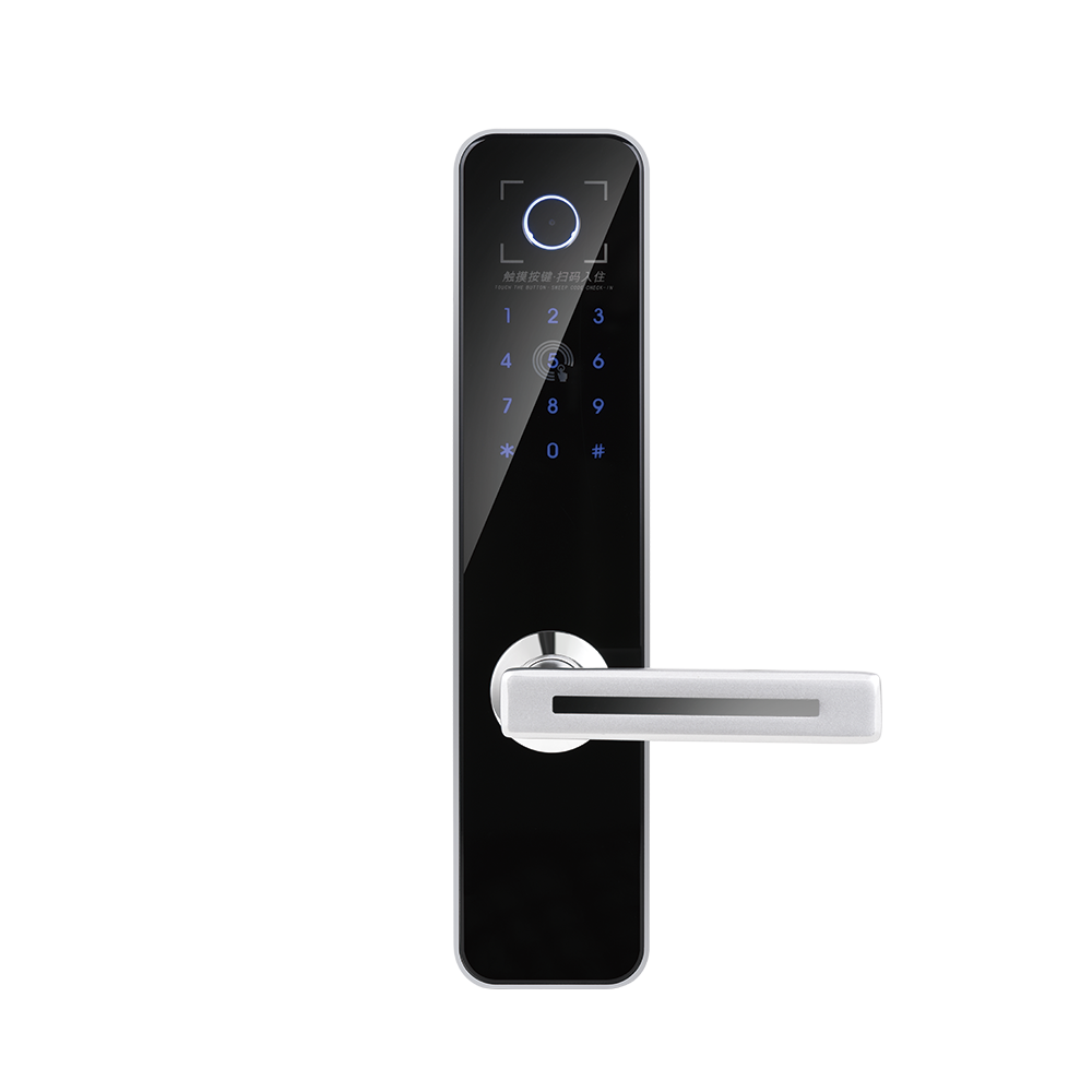 LoRa联网门锁-DY3019-QR