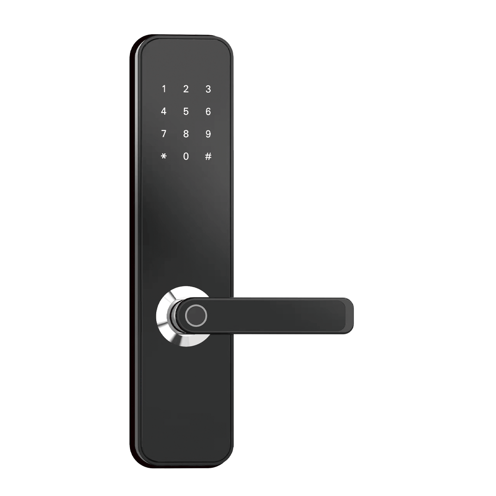 LoRa联网门锁-DY4019